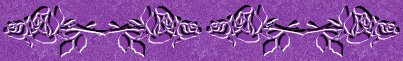 purple rose-bar.jpg (12036 bytes)